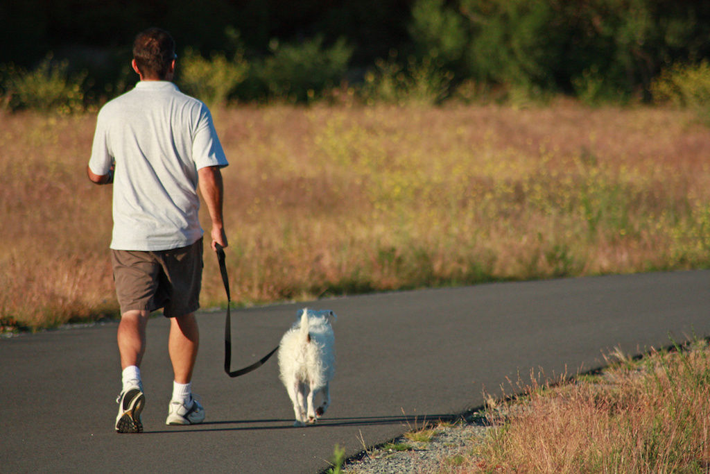 Man walking dog on leash